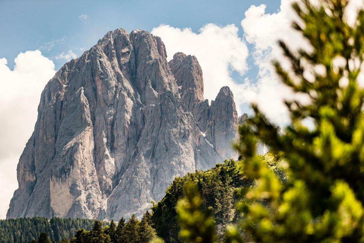 Appartamenti Hetty Santa Cristina Val Gardena 외부 사진